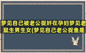 梦见自己被老公捉奸在孕妇梦见老鼠生男生女(梦见自己老公捉鱼是什么预兆 女性解梦)